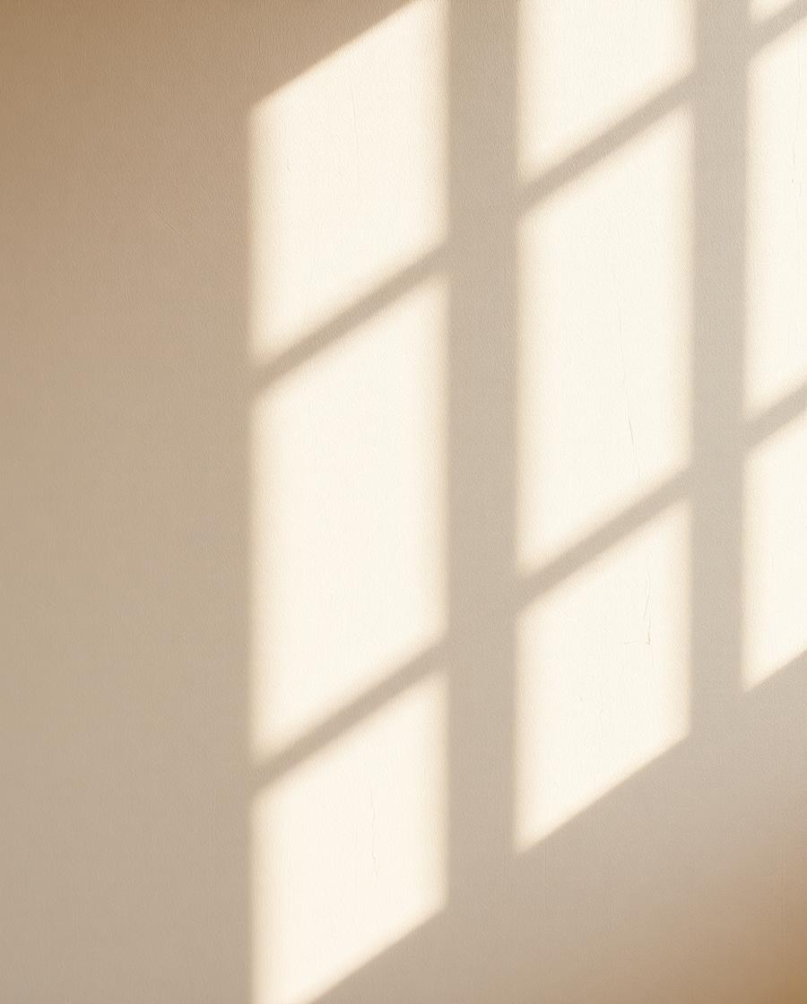 Hand-applied plaster wall finish catching natural light